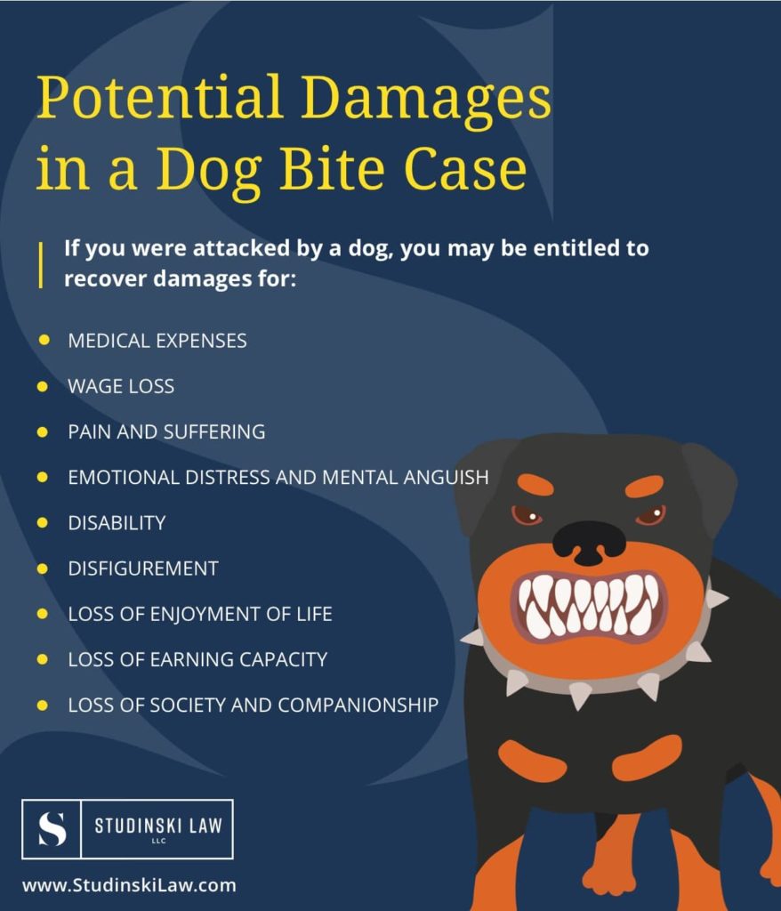 compensation for a dog bite | Studinski Law, LLC