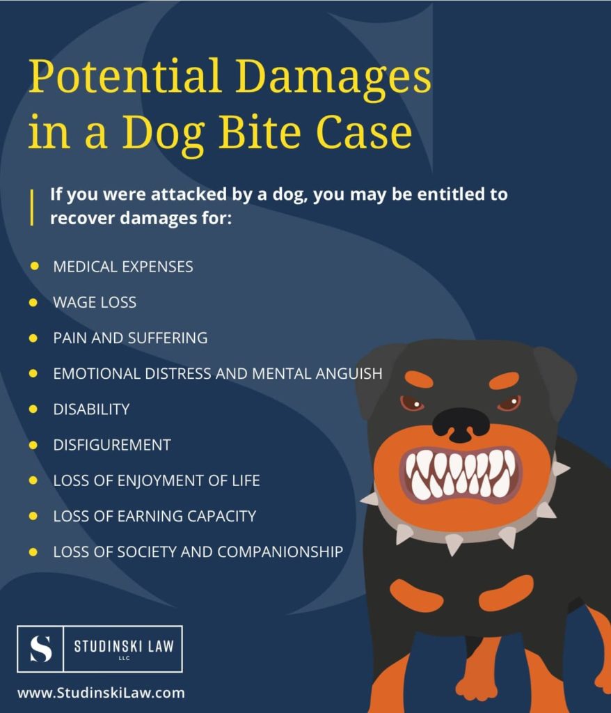 fresno dog bite attorney